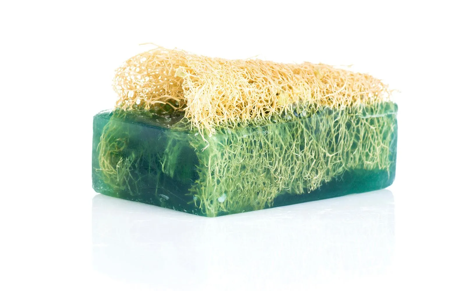 Aloe Vera Much Loofah Soap