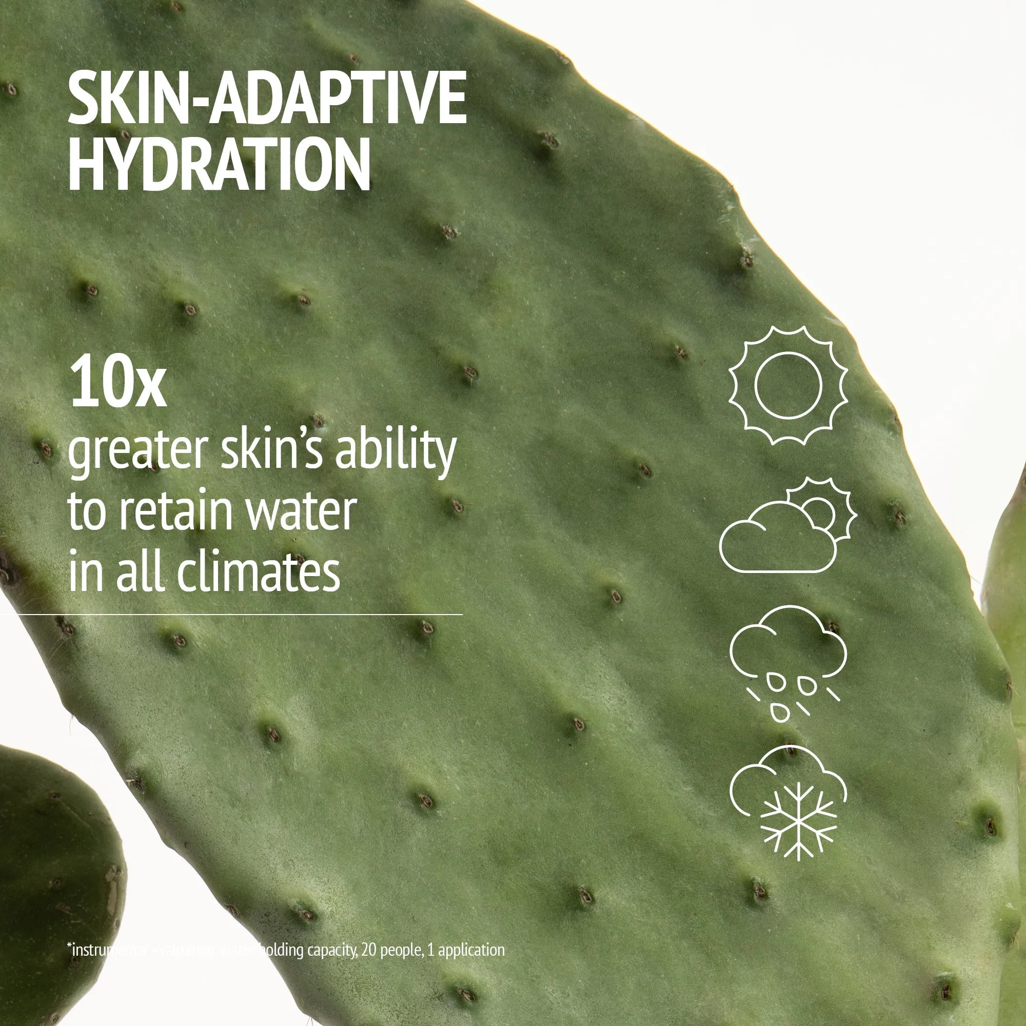 ANTI-AGING & NOURISHING MINI CREAMS DUO