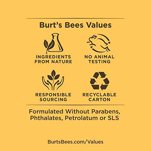 Burt's Bees 100% natural origin Moisturizing Lip Butter with Wild Rose and Berry, 11.3 Grams