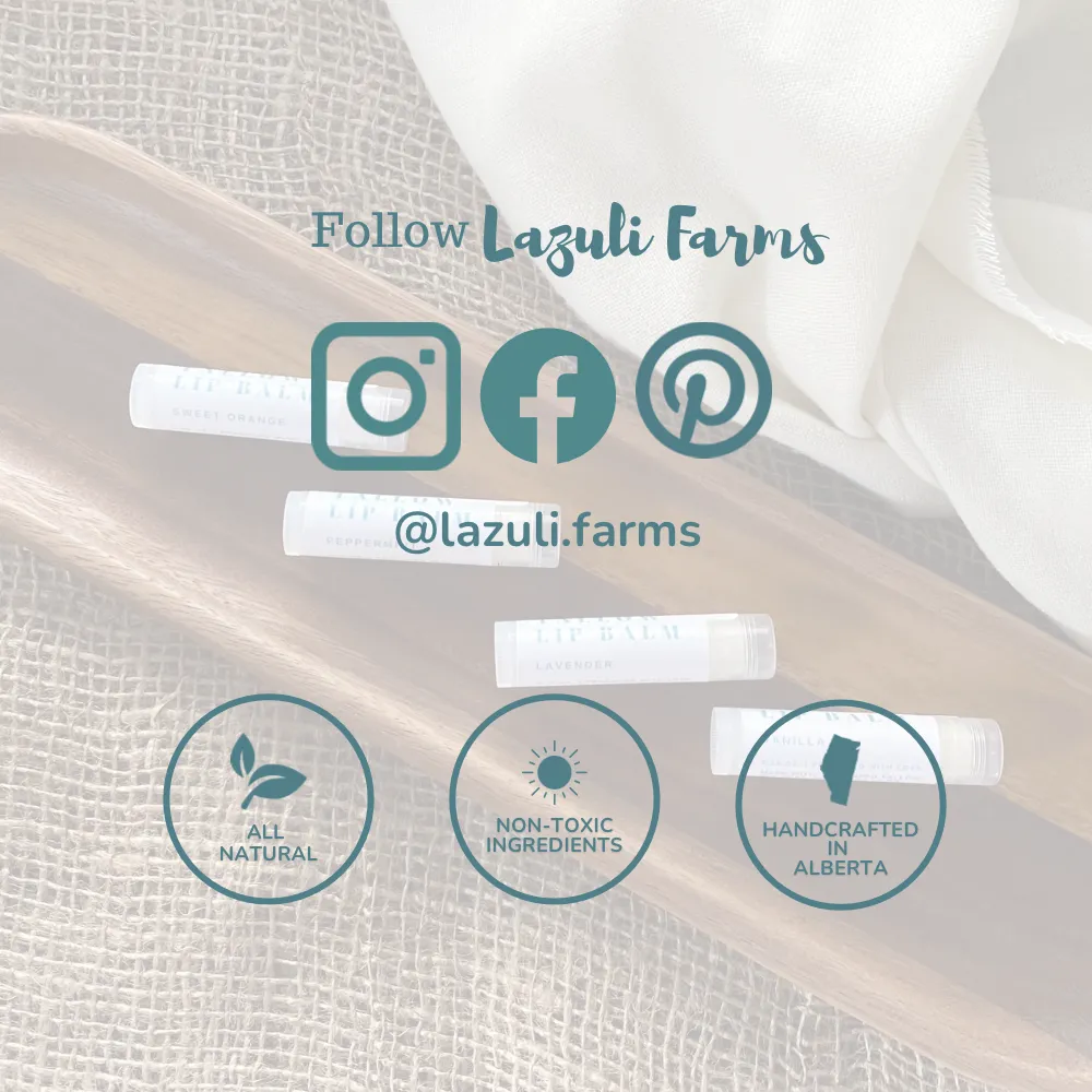 Lip Balm Gift Set - Set of 10 | Shea butter   Tallow   Beeswax | Natural Lip Moisturizer