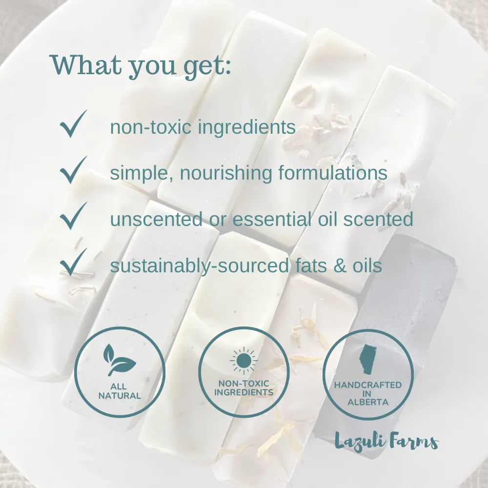 Lip Balm Gift Set - Set of 10 | Shea butter   Tallow   Beeswax | Natural Lip Moisturizer