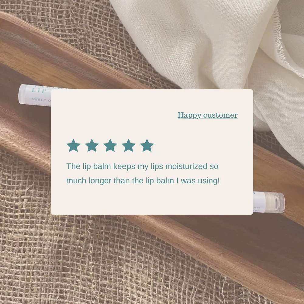 Lip Balm Gift Set - Set of 10 | Shea butter   Tallow   Beeswax | Natural Lip Moisturizer