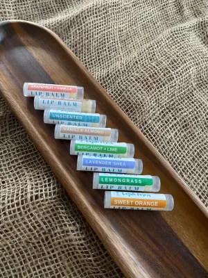 Lip Balm Gift Set - Set of 10 | Shea butter   Tallow   Beeswax | Natural Lip Moisturizer