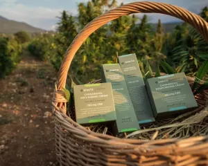 Skincare Bundle - Body Lotion, Cleanser, anti-ageing and Moisturizing creams