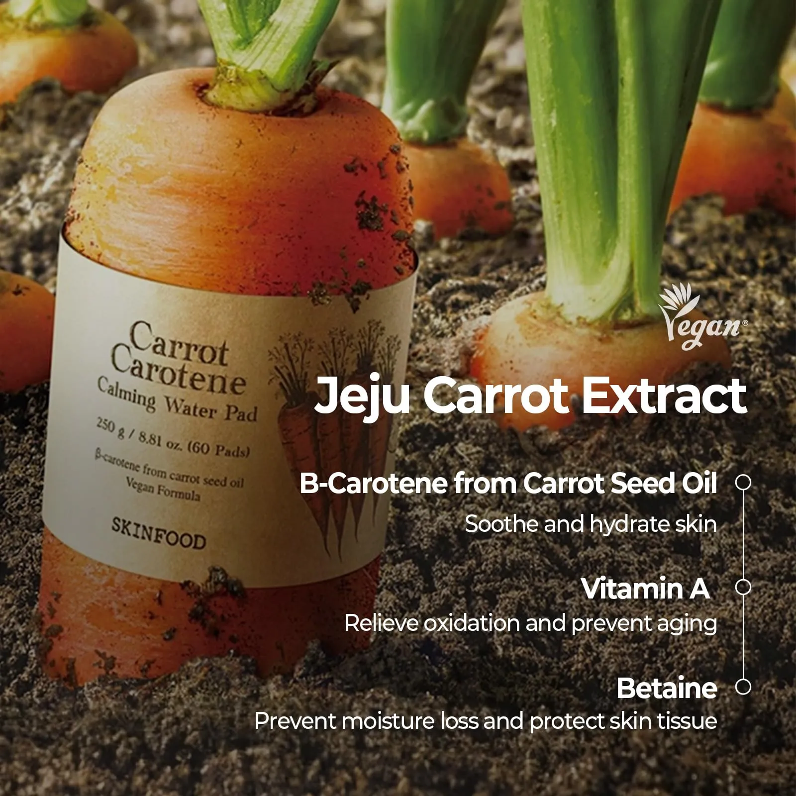 Skinfood Carrot Carotene Daily Mask