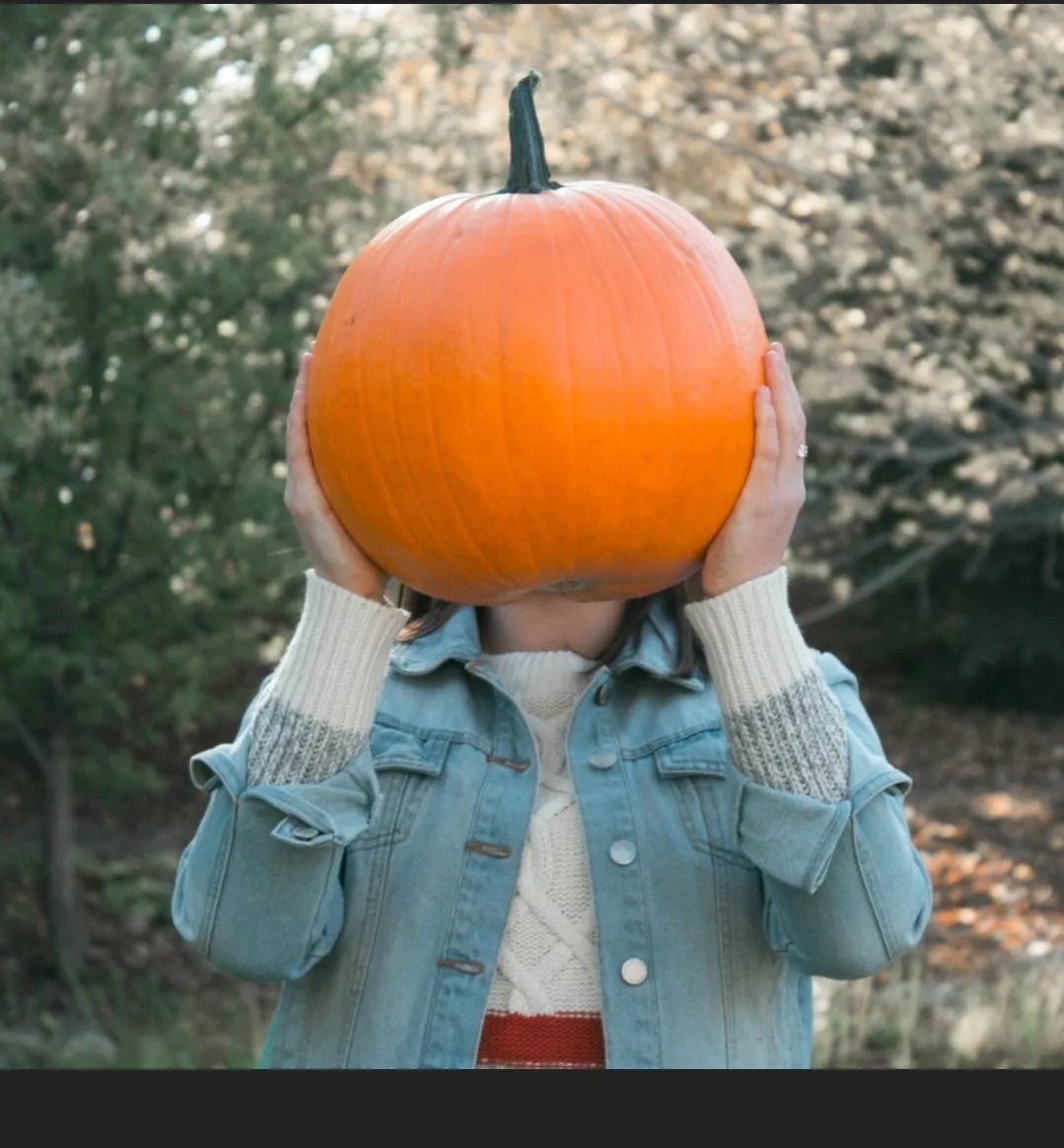 Spiced Pumpkin Soap--natural Cold Process Tallow Soap