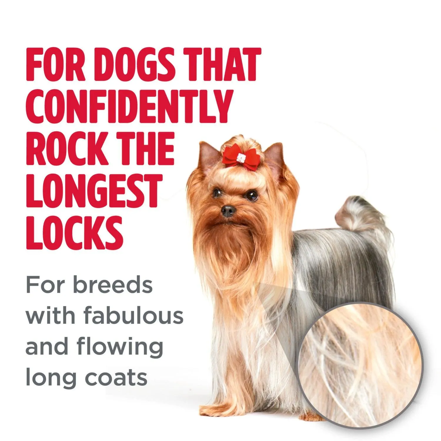 Tropiclean Perfect Fur Long Haired Coat Dog Shampoo