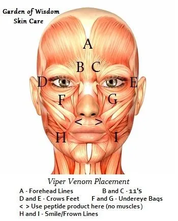Viper Venom 7% SYN®-AKE Serum