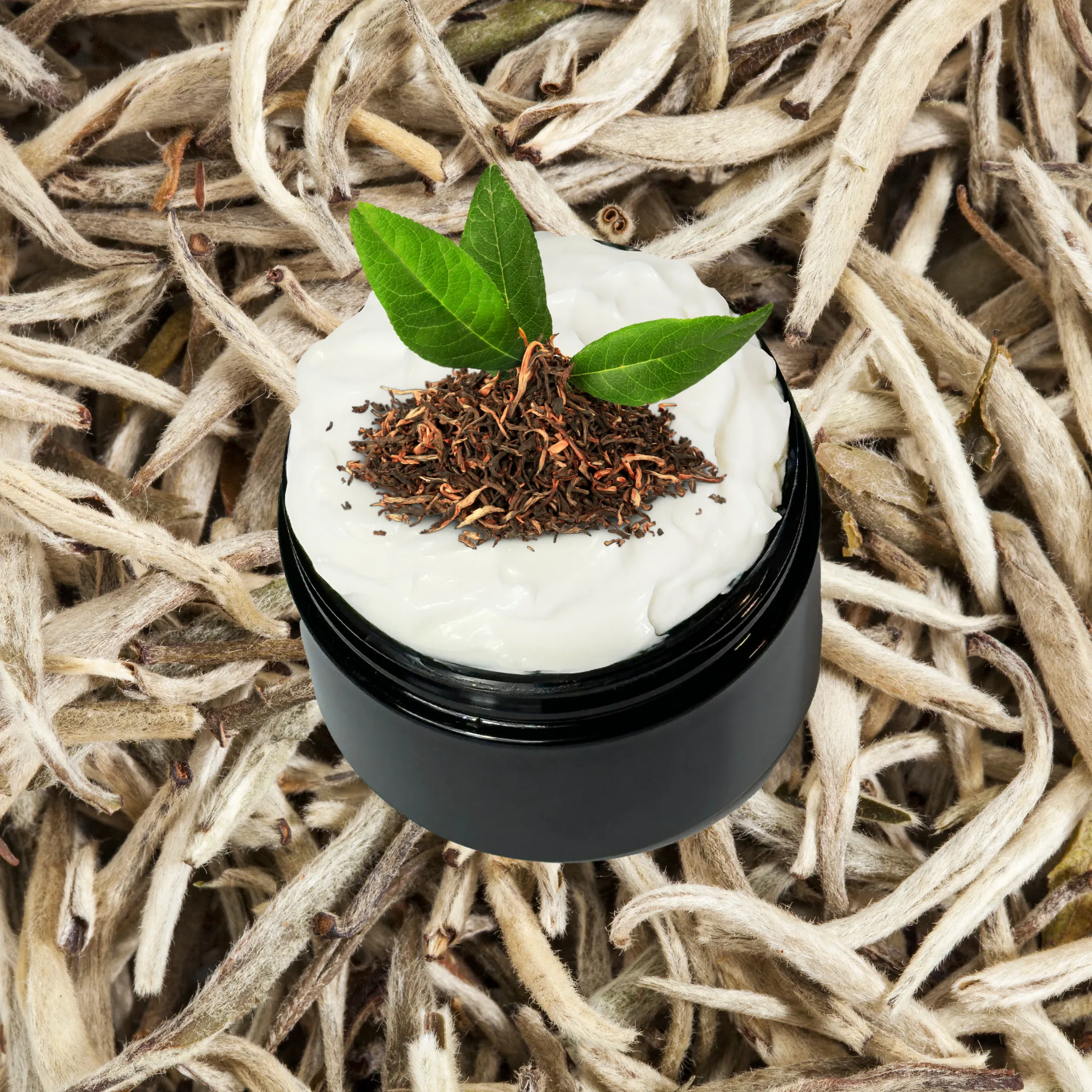 White Tea Organic Moisturizing Body Lotion Shea Cocoa Butter 4 oz